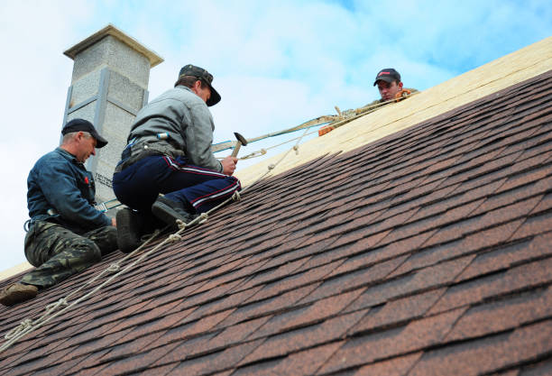 Best Gutter Installation and Roofing  in Bridge City, TX